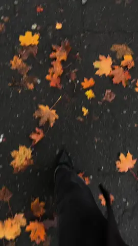 #autumn #rec 