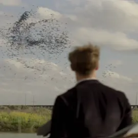 #thementalist #truedetective #patrickjane #rustcohle #fyp 