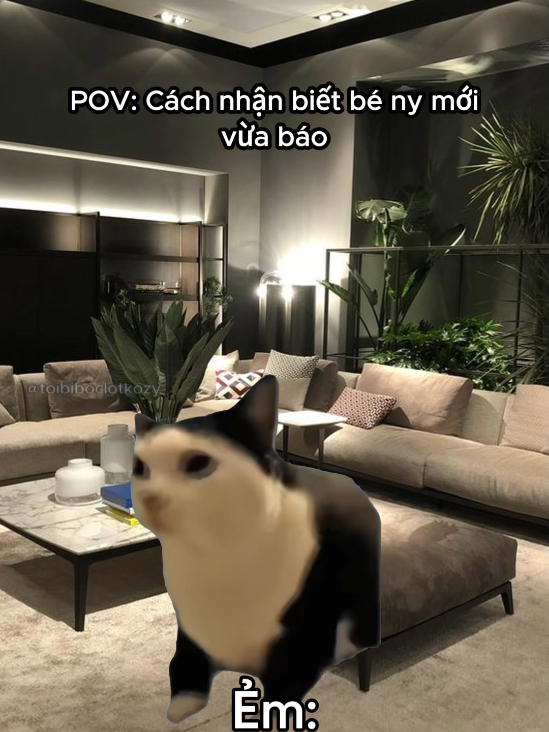 báo #kozyfashion #meme
