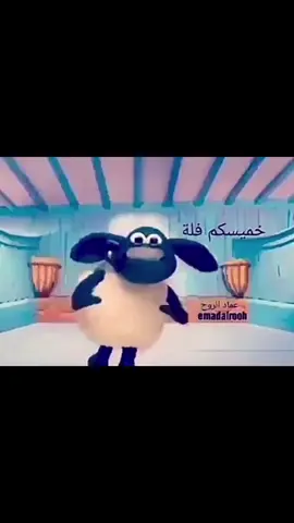 ويلو ويلو✌🏼🤪 #يوم_الخميس #الخميس #تذيفات🇸🇦 #الحميا🇸🇦 