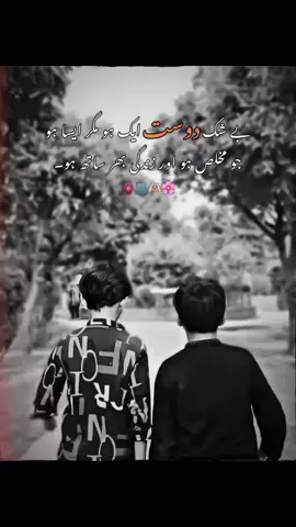 #duet with @◥꧁خان جی꧂◤