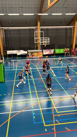 #tchalou #tchalouteam #fwvb #volleyball #volleyballgirls 