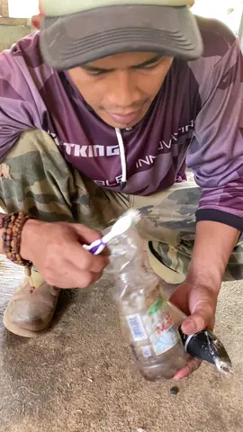 Perawatan mesin cukur domba #fyp #mesin #cukur #dombagarut 