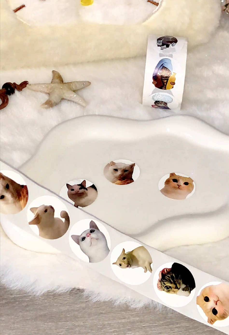 Cat Pattern Sticker, 500pcs/roll #tiktok #funnygifts #tiktokshop #stickers #cat 