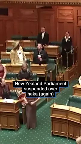 New Zealand's Parliament was temporarily suspended after a haka was performed for newly elected Te Pāti Māori MP Oriini Kaipara. Speaker Gerry Brownlee said he would investigate whether any parties had been involved in organising the haka, as it was against protocol and therefore 'contemptious'. Prior to her election, Kaipara was a journalist and the first person to present a prime-time news programme with a moko kauae facial tattoo. Te Pāti Māori, which means The Maori Party, has previously gotten in trouble for performing the haka in the chamber, including their co-leaders being suspended last year for performing it during the First Reading of the controversial Treaty Principles Bill. #haka #newzealand #aotearoa #politics #worldnews