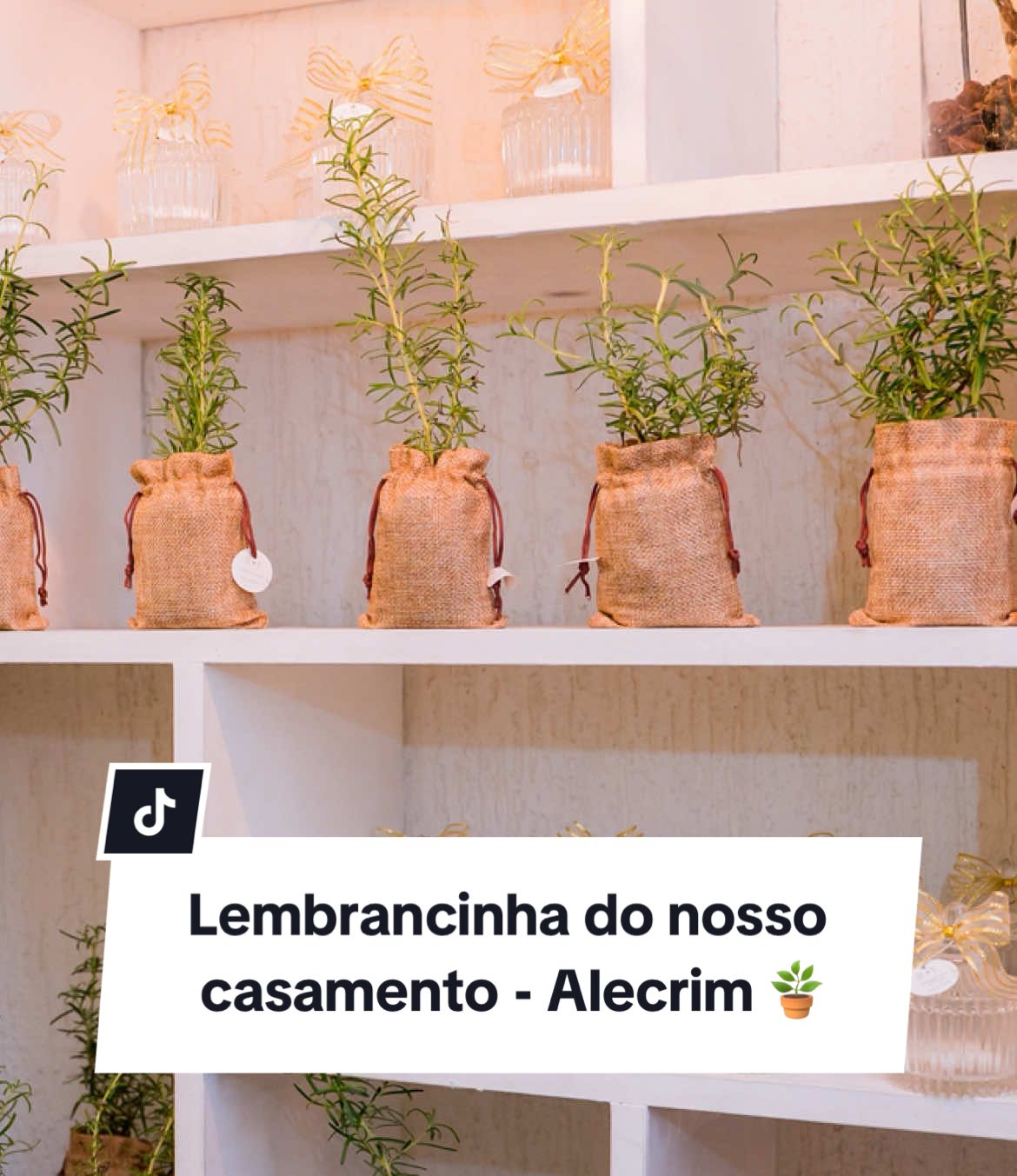 Demos alecrim para os nossos convidados e eles amaram 🤩🪴. . . #lembrancinhasdecasamento #casamento #alecrim #wedding #noivos 