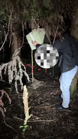 トラウマ級でした。#心霊 #心霊配信 