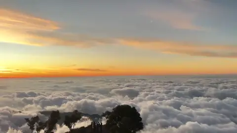 #fyp⛰️🇹🇱 💐🤍