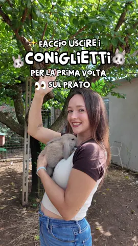 Faccio uscire i coniglietti per la prima volta sul prato  💞🐰  Ecco le loro reazioni ✨✨✨ #federicazongoli #Vlog #rabbits #bunnies #farmlife 