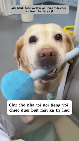 Chó biết bắt mạch tìm cây dược liệu 