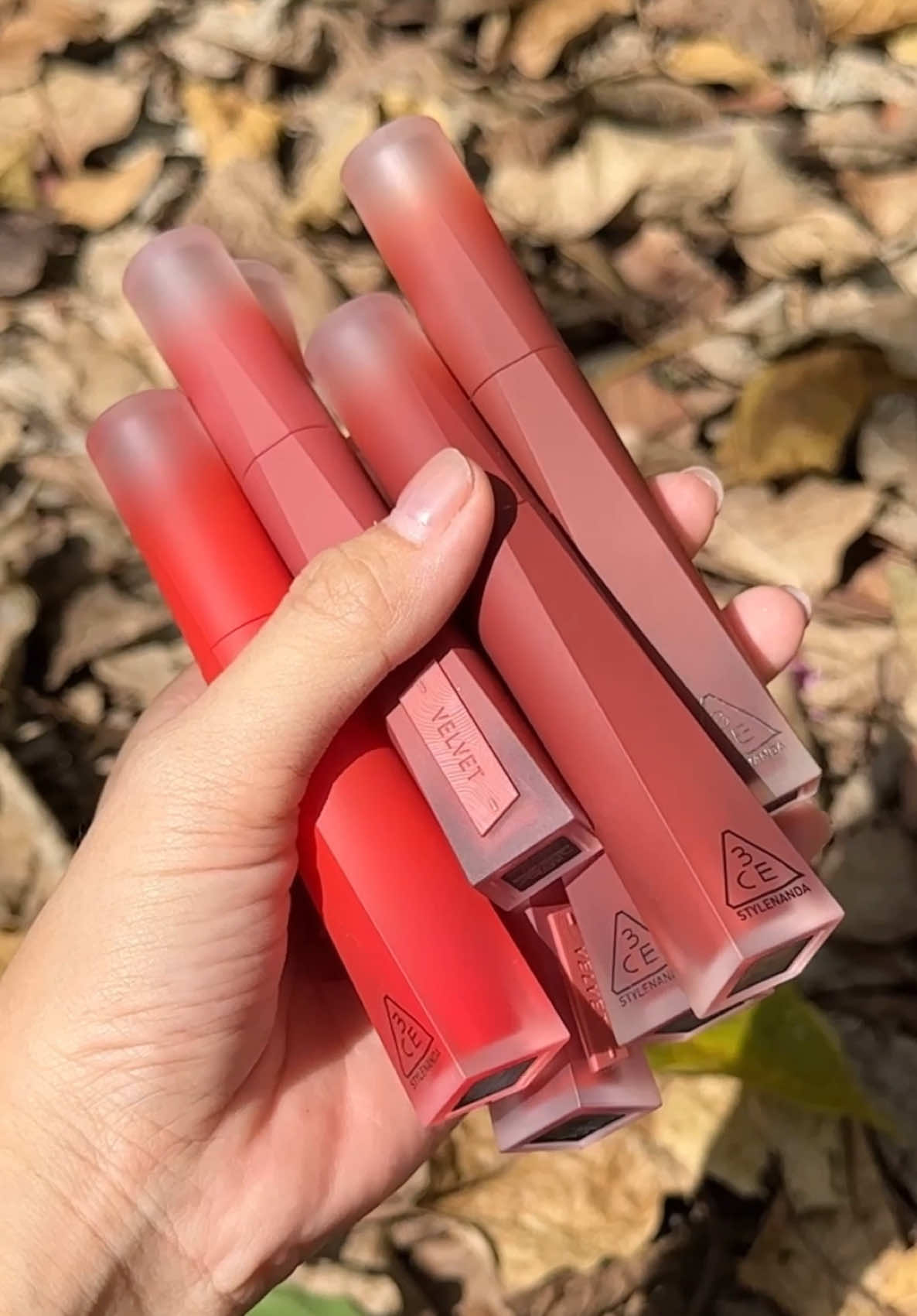 Màu Velvet Plush tone ấm và tone neutral cho mùa thu #goclamdep #3CEVN #3andChịEm #HợpTácCùng3CE #velvetplush 