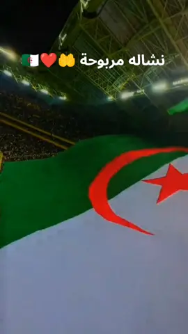 نشاله مربوحة ليوم الجزائر 🇩🇿🤲❤️#نشاله_مربوحة🤲🇩🇿 #الجزائر🇩🇿 #كاس_العالم #الجزائر_الصومال #algeria 