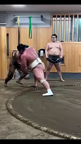 pergulat jepang #fyp #viral #masukberanda #jepang #gulat 