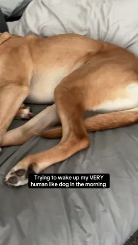 Let’s hope I have more of a backbone than I do with Sandra when I have to get my own kids up for school one day 🤣 Don’t miss more Sassy Sandra! 