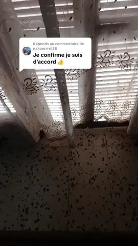 Réponse à @nakourrrrii58 #الجزائر🇩🇿 #اسبانيا🇪🇸_ايطاليا🇮🇹_البرتغال🇵🇹 #france🇫🇷 #زواج #ماصو 