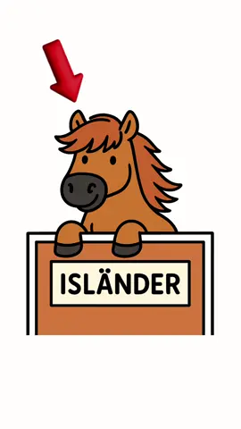 #klischees #witzig #isländer 