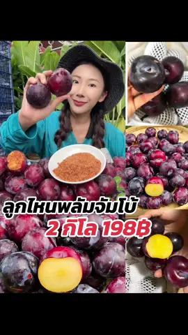 #ลูกไหนไซส์จัมโบ้ #ลูกไหนพลัม #ลูกไหนพลัมจัมโบ้ 