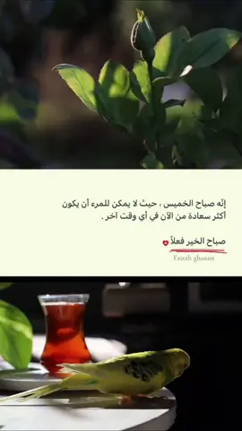 #صباح_الخير  #صباحيات  #الشعب_الصيني_ماله_حل😂😂  #اكسبلورexplore  #اكسبلور 