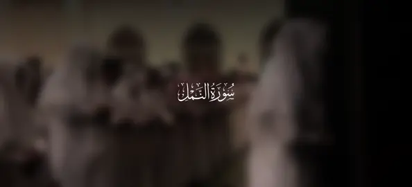 #عبدالله_الموسى #سورة_النمل #قران