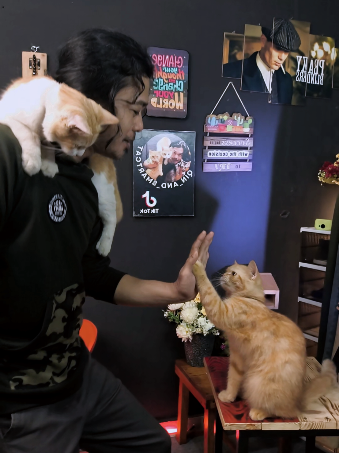 berteman sepi #catlovers #kucingtiktok #smartcat #cutcat #petshop 