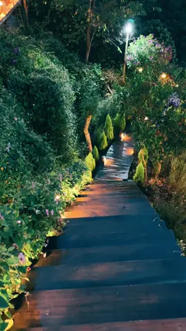 Bình yên nơi đây #xuhuongtiktok #capcut #trendingtiktok #nhabenrung #binhyen 