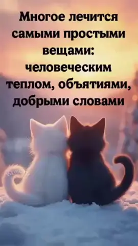 #жизньидет #открыткикаждыйдень #новые #душевные #лучшие#пожелания #котикимилые 