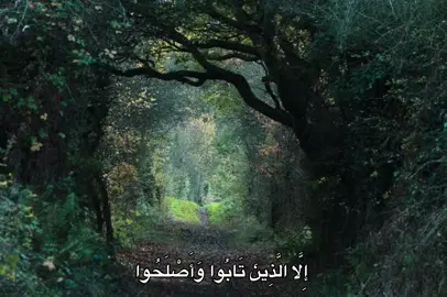#عبدالباسط_عبدالصمد #fyp #quran #🎧 