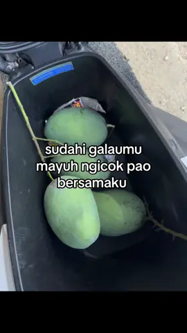 #katakatamadura #quotesmadura #madurapride #fyp #ngicokpao 