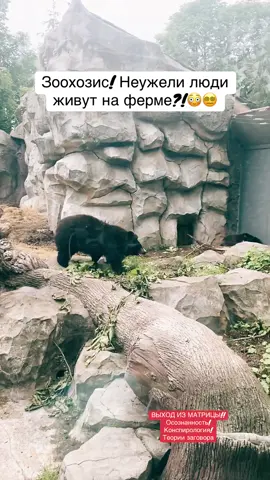 #матрица #осознанность #животные #зоохозис #конспирология 