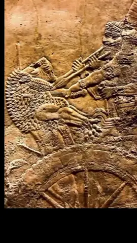 Announaki👽 histoire historique ✅ loisirs✅ chasse au loins🦁 représentation sur pierre historique ✅