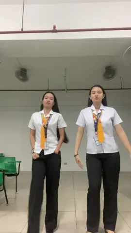 Pacutesy