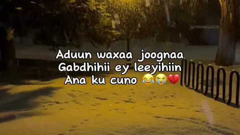 Yaap 😂💔#soomaali_tiktok🇸🇴🇸🇴 #fyppppppppppppppppppppppp #capcut 