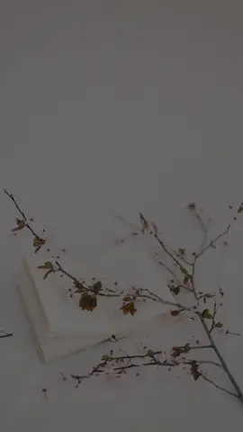 #hidupdenganrasa #lakilaki #quotes #cerita #fyppppppppppppppppppppppp 