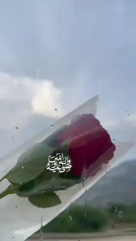 اللهم صل وسلم على نبينا محمد ﷺ❤️🕊️