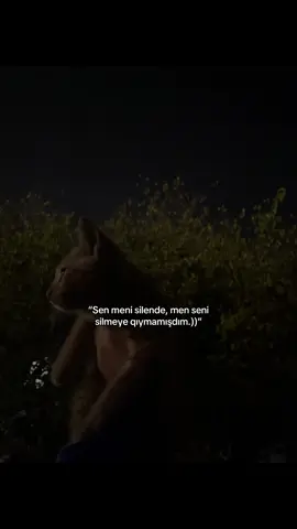 🥲 #biləcərim #fypage #kesfet #azerbaijan 