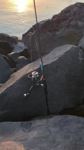 vibesnya uii🤩🤩 #fypシ゚ #mancing #pinggiran #ultralight #banyuwangi 