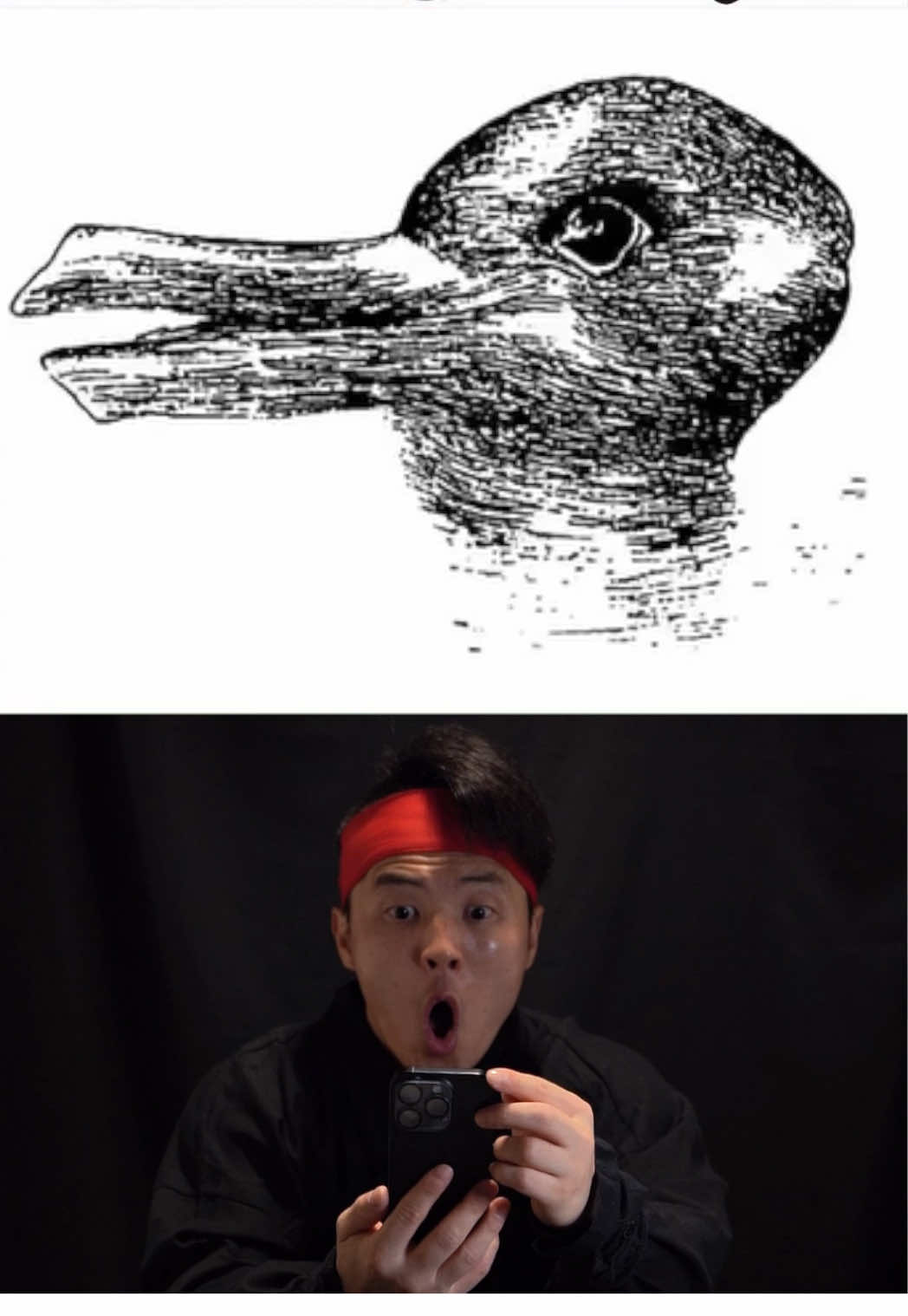 이 그림은 뭐가 보이나요? 🥷👀😱What do you see in this picture? #illusion #reversedrawing #착시그림 #반전그림 #ninjahyeong   🎬 Just for laughs & creativity   🛡️ Follows TikTok Community Guidelines
