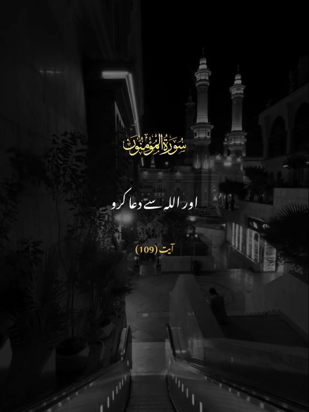 SURAH AL-MU,MINUN  VERSE 109 #quran_alkarim #duniyaaefaanii #falaah41 #urdutarjuma #tarjuma 