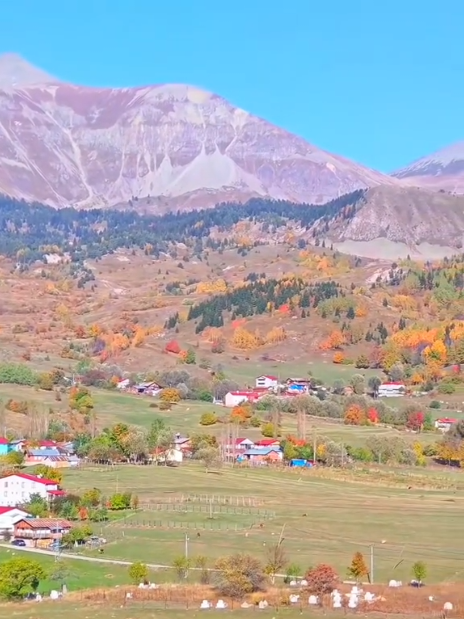 🍁Artvin Şavşat Pınarlı Köyünden Sonbahar manzarası 🍁