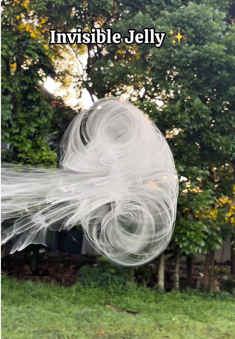 Ocean Jelly✨ #fyp #funny #tiktok 