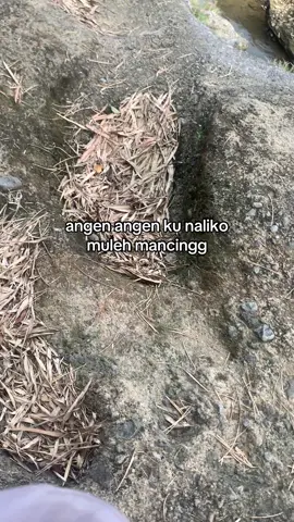 jann sess@SAM PIITAK SOPIR SEEZ #sekrepotmanceng #fypage #4u #xybca 