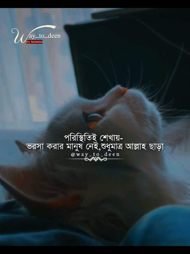 পরিস্থিতি মানুষকে শেখায়,  ভরসা করার মতো মানুষ নেই, আল্লাহ ছাড়া 💔 #viralreels #fpyyyyyyyyyyyyyyyyyyyyyy #islamicreminder #foryoupage #fy 