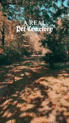 This pet cemetery in Columbus, Ohio was one of my favorites to visit. Was interested to see how trends shift with animl names, and so heartwarming to see all the love these animals had. #onthisday #petcemetery #cemeterywandering #columbusohio #gravestones Pet cemetery in Columbus Ohio, things to see in ohio, oddities, road trip