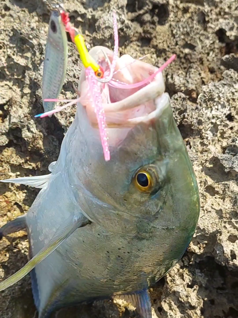 Test lagi assist warna Pink.. #ikangt #assisthook #assisthookgid #shorejigging 