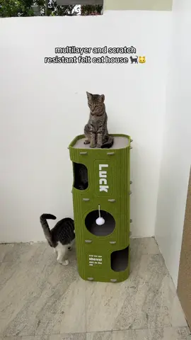 ito yung cat house na di nasisira sa pag scratch ng mga pusa kaya pangmatagalan #cathouse #cattreehouse #cattoys #playfulcat #catsplaying 