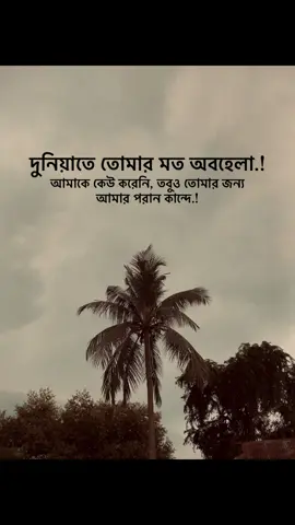 দুনিয়াতে তোমার মত অবহেলা আমাকে কেউ করেনি, তবুও তোমার জন্য আমার পরান কান্দে.! #newid #followme #fypシ゚ #viral #bdtiktokofficial @TikTok Bangladesh @〆SɨɎȺM⚔VȺɨ࿐ 
