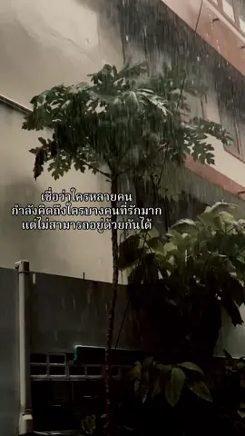 ยอมจำนนฟ้าดิน#สตอรี่ความรู้สึก #tiktok #fypシ゚ 