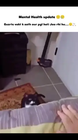 @✨👑༺ʄǟʀʏǟʟ ɖɛɦɮǟʀ༻👑✨ #unfrezzmyaccount #fypシ #😜🙈🤣🤭 #foryou 