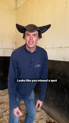 As soon as you close the stall door… #h#horsesandhumorh#horseequestrian 