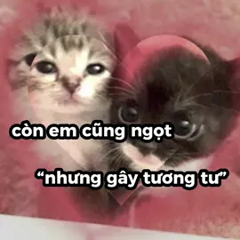 nhưng gây tương tư. #xh #fyp #xuhuong #viral #bray @B Ray 
